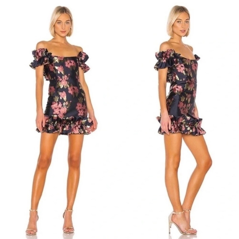 NWT V. Chapman Hollyhock Mini Dress Baroque Rose Floral Brocade